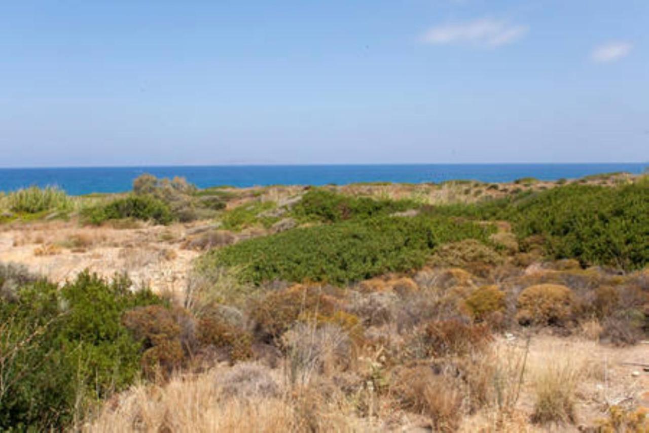 Makis Apartments Sitia  Dış mekan fotoğraf